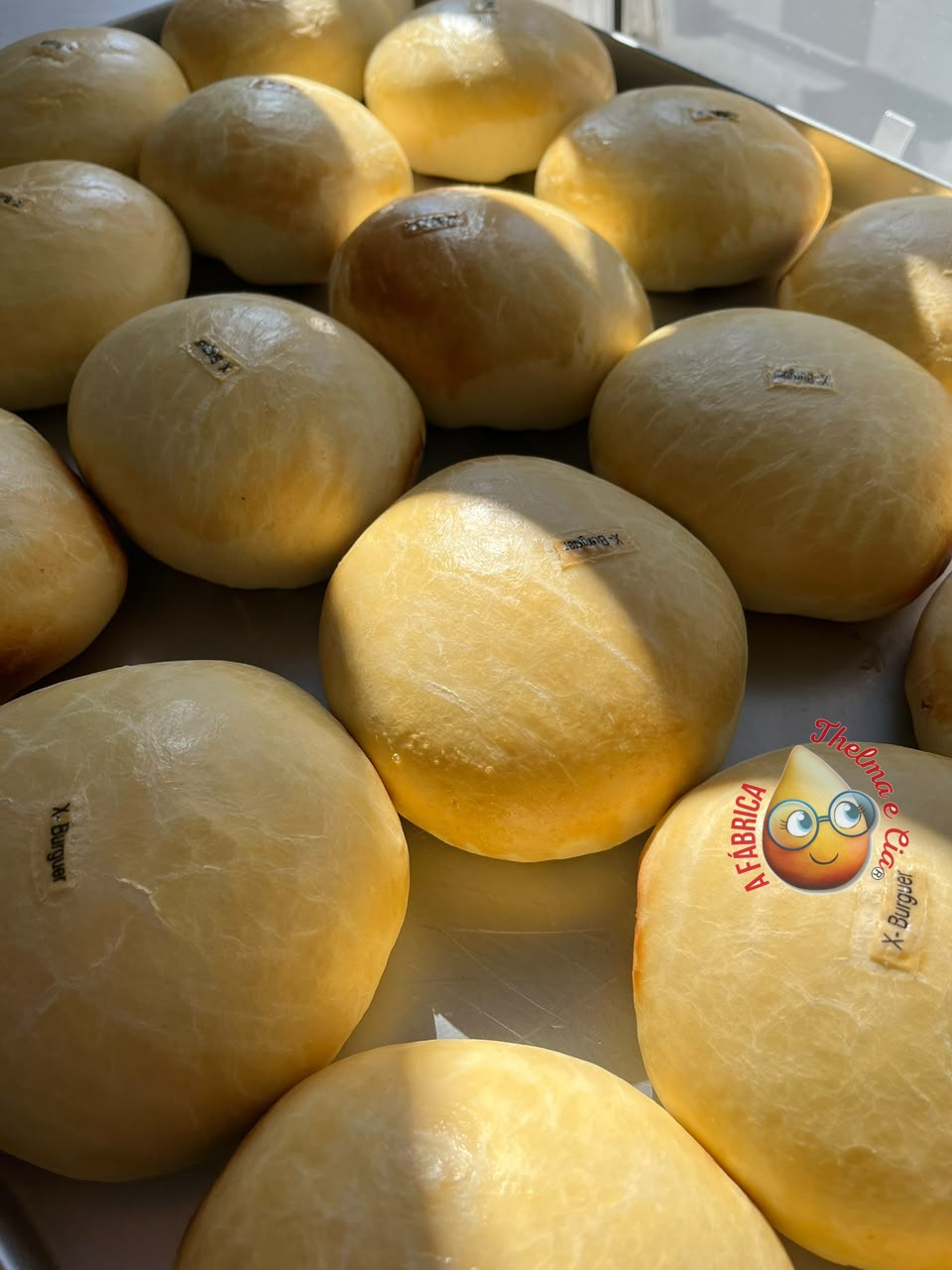 Coxinha Tradicional de Frango